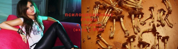 герыч Куйбышев