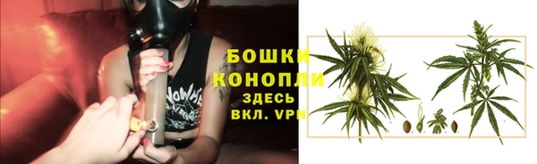 мдпв Ладушкин