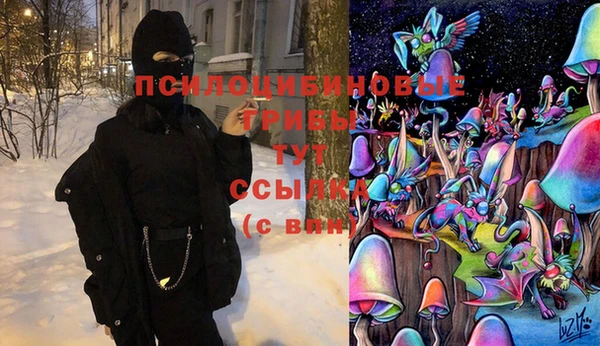 a pvp Кукмор