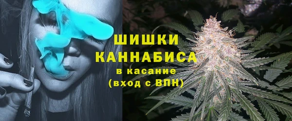 PSILOCYBIN Лагань