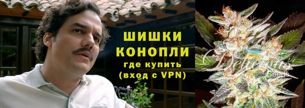 PSILOCYBIN Лагань